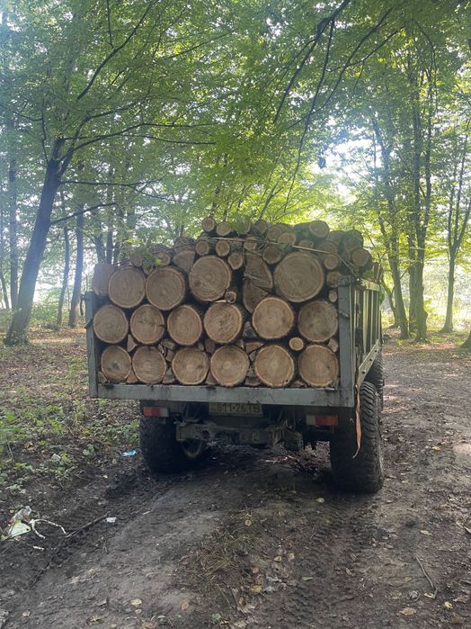 Продам дрова паливні твердої породи