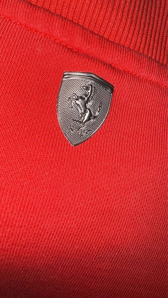 Олімпійка Puma&Ferari