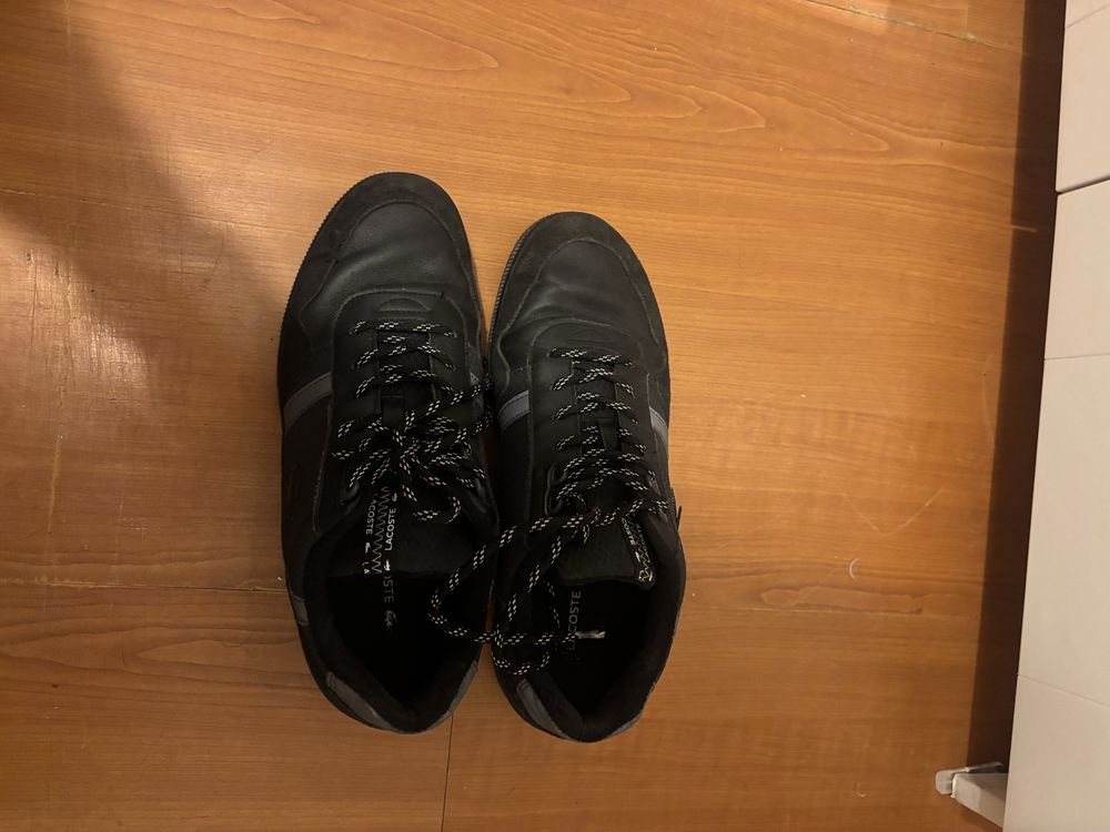 Tenis da lacoste