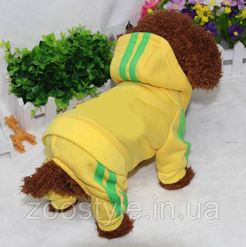 Спортивний костюм комбінезон для собак та котів Adidog Жовтий