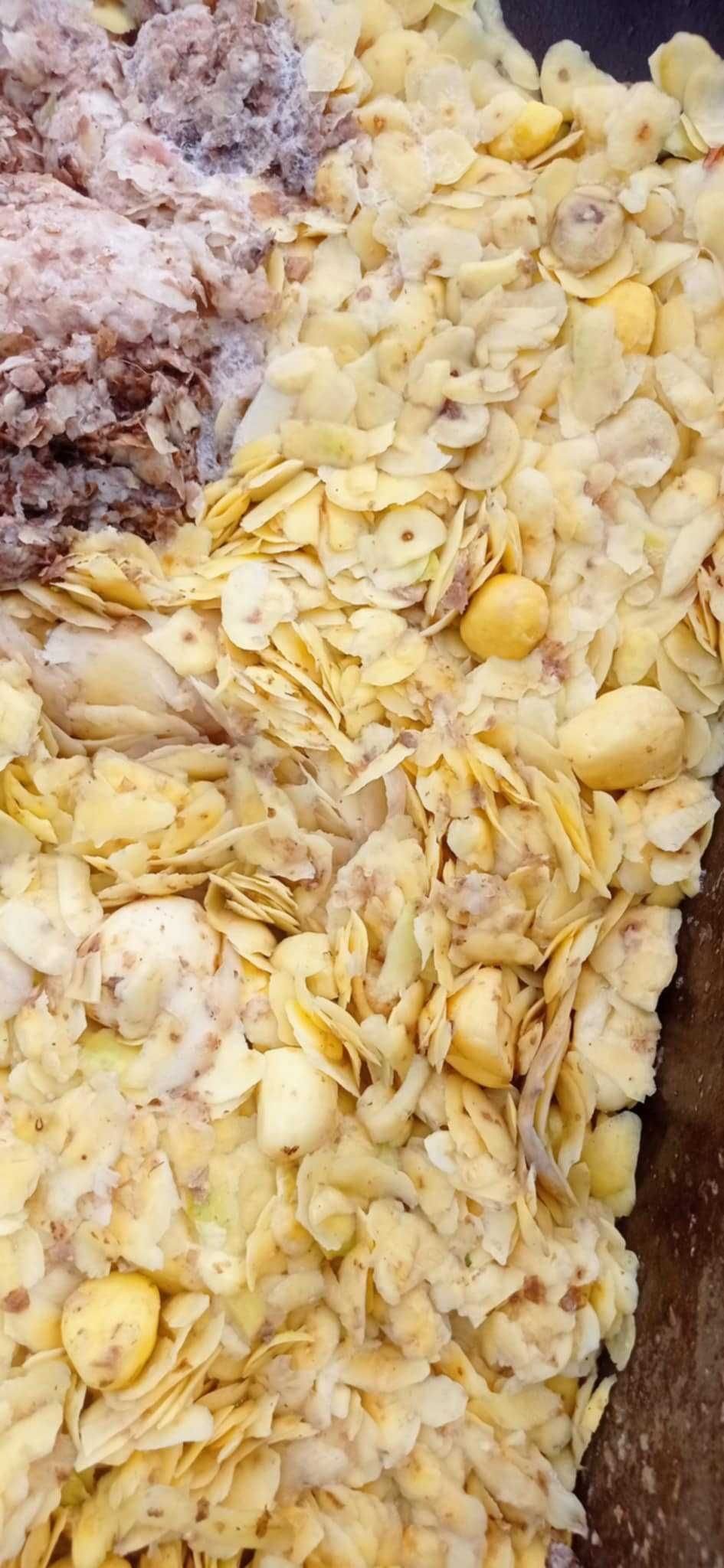 Obierki ziemniaków, ziemniaki odpadowe