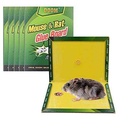 Pułapka na myszy lep myszołapka klejowa 32cm x 21cm 10szt
