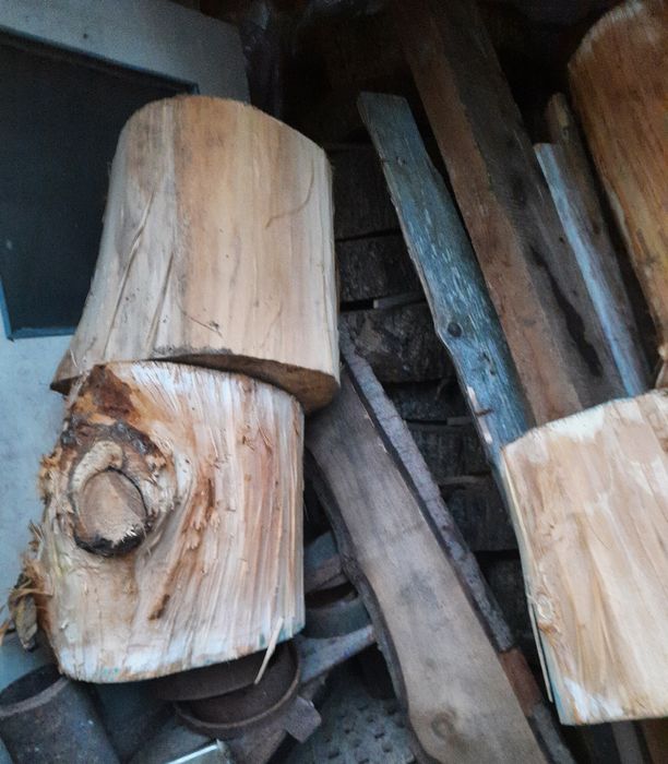 Dla rzeźbiarza hobbysty: lipa, bale, pnie lipy