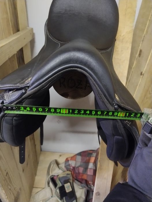 ujeżdżeniowe Claridge House 15'5 - 16"