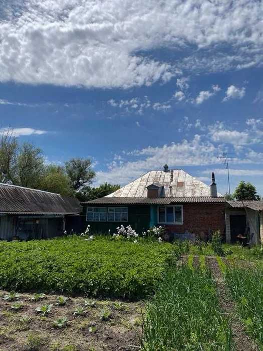 Продам дом в п.Андреевка