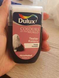 Tester dulux fiołek alpejski