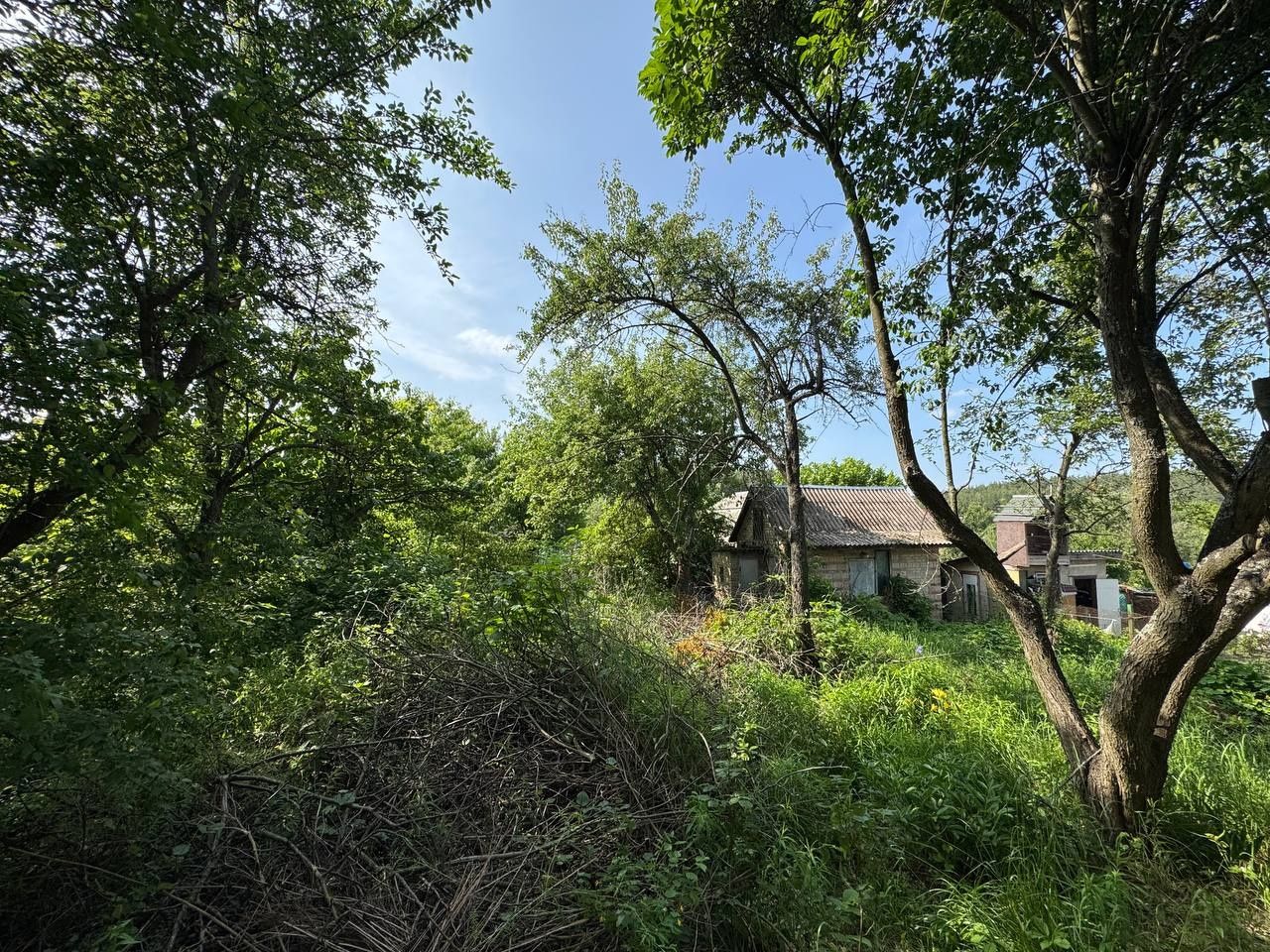 ‼️Продам дачу в затишному місці,територіально в Малютянці
