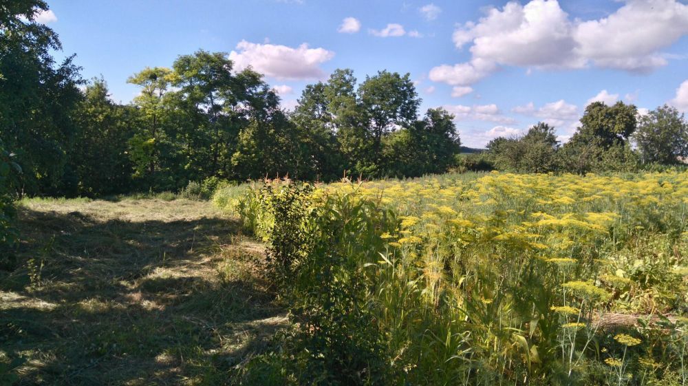 Зручний будинок у тихій місцевості.
