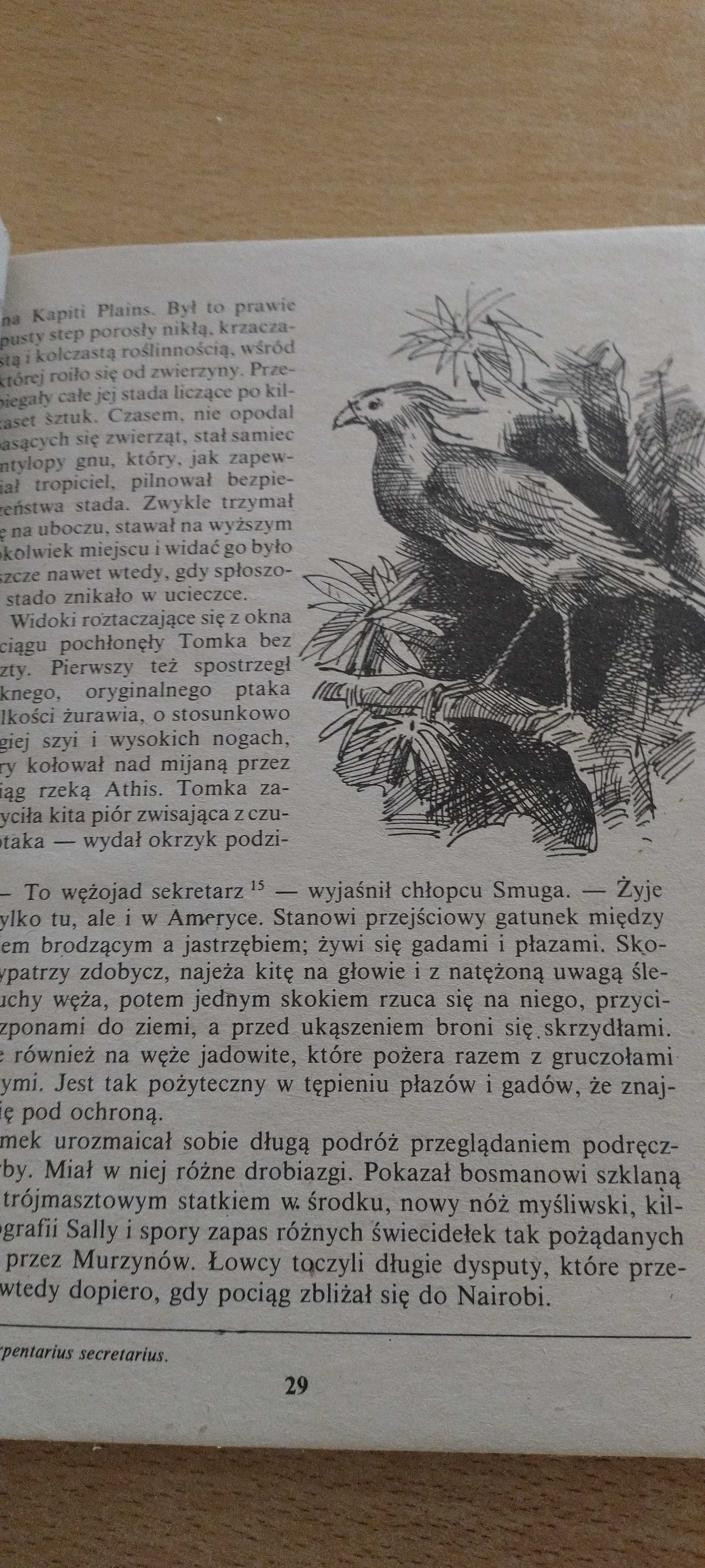 Przygody Tomka na czarnym lądzie .Tom drugi.