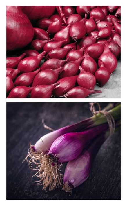 Cebula Dymka Zimująca Cerwona 'Red Cross' – Długie Przechowywanie 250g