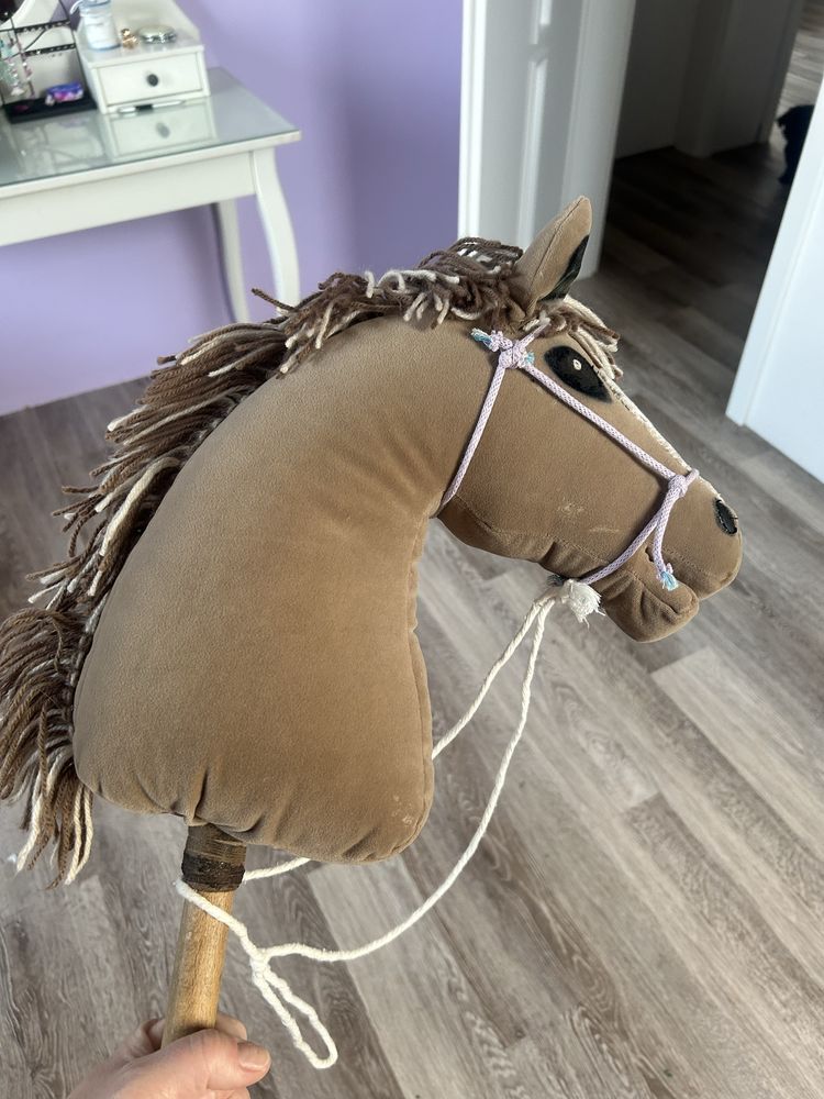 Hobby horse , koń do zabawy