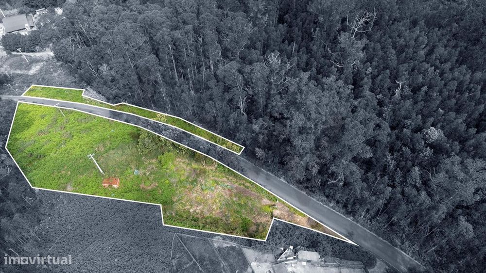 Oportunidade Única no Arco da Calheta – Terreno Urbano com 5.181 m2