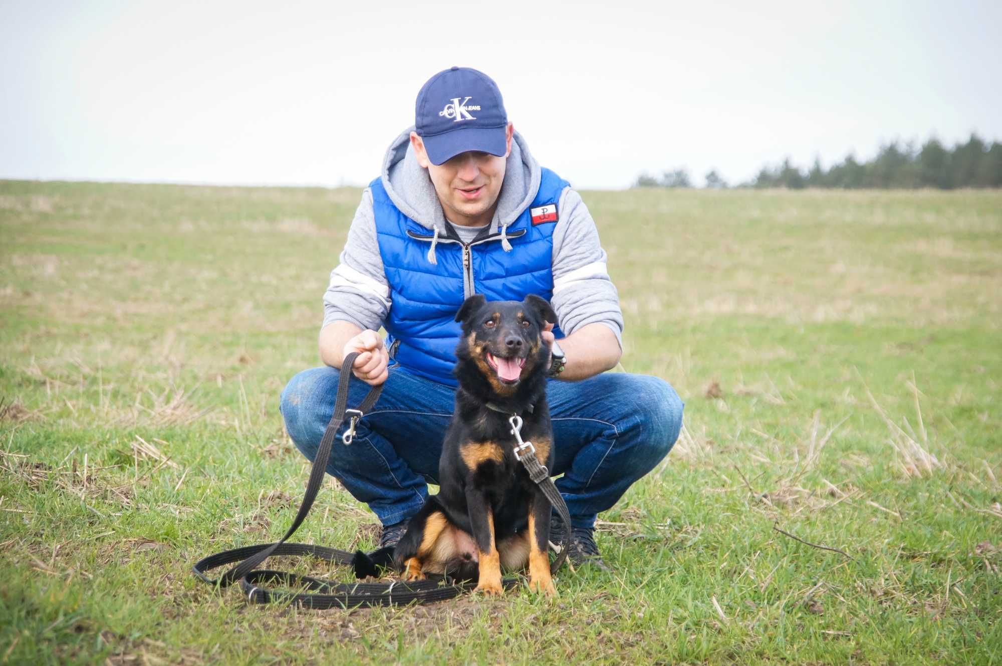 Dżokej - wesoły i energiczny psiak do adopcji.