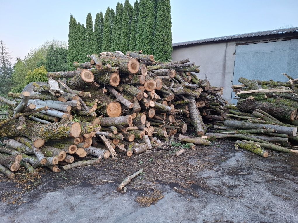 Sprzedam Drewno opalowe