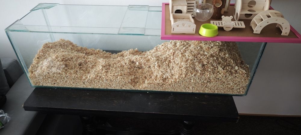 Akwarium dla chomika