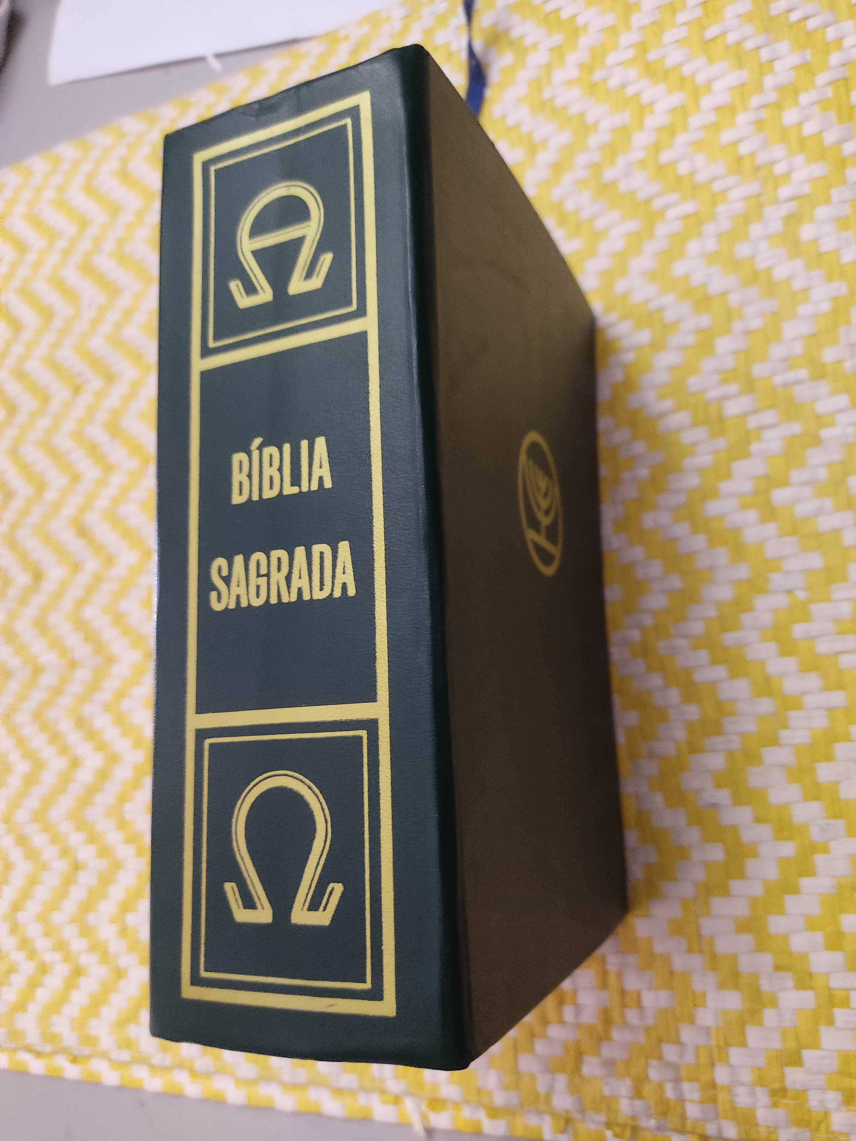 BÍBLIA SAGRADA - Versão dos textos originais 
Difusora Bíblica