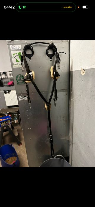 napierśnik 5-punktowy