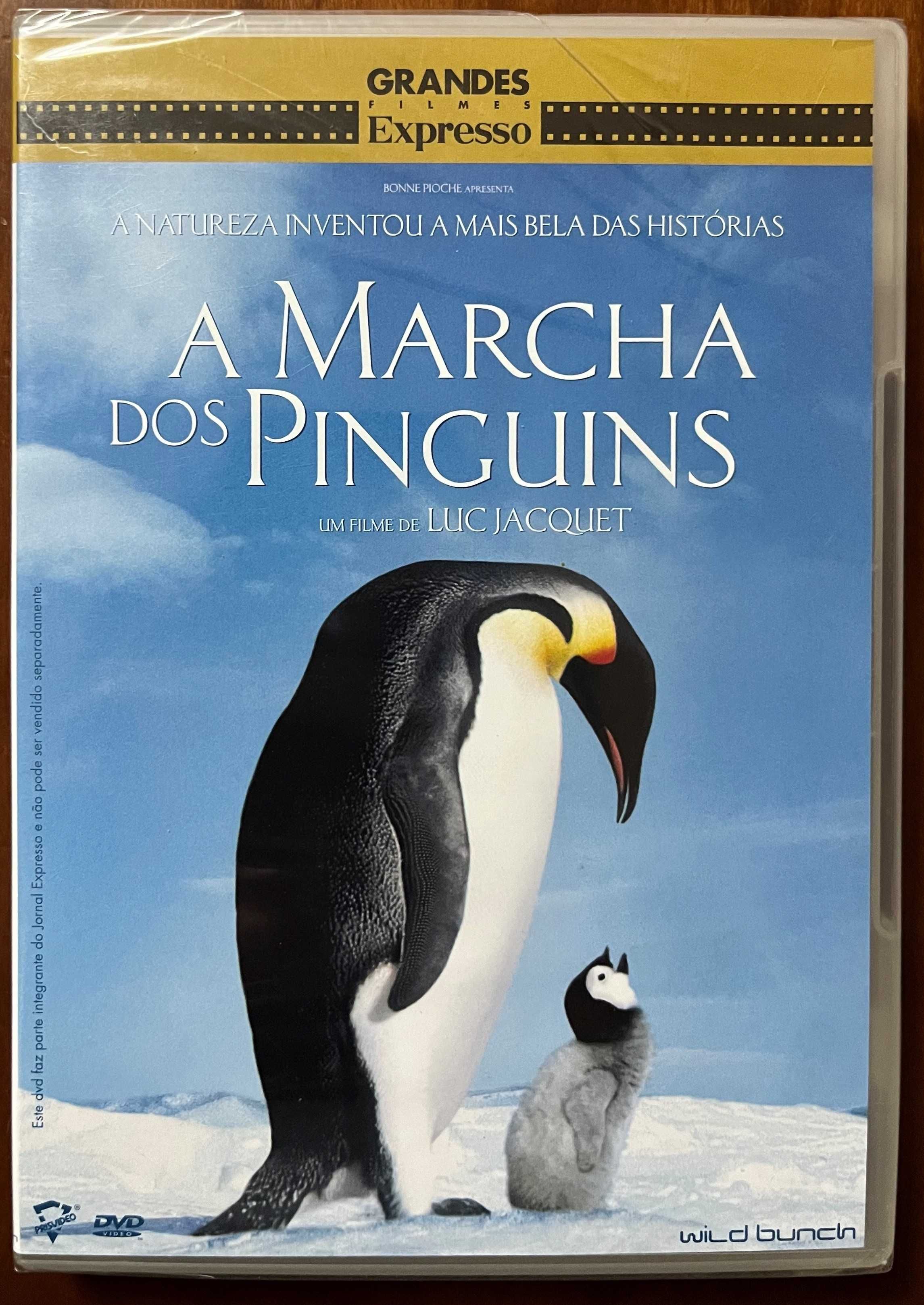 DVD novo/selado "A Marcha dos Pinguins" de Luc Jacquet