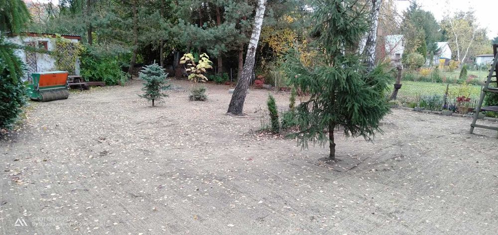 Zakładanie trawników