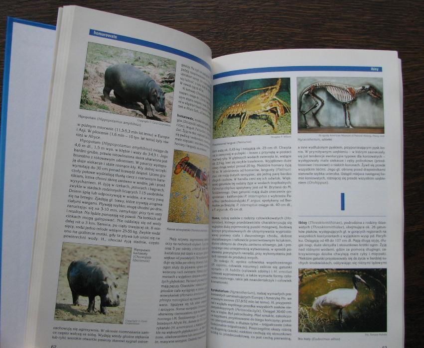 Encyklopedia Audiowizualna Britannica - Zoologia cz.1 (z płytą DVD)