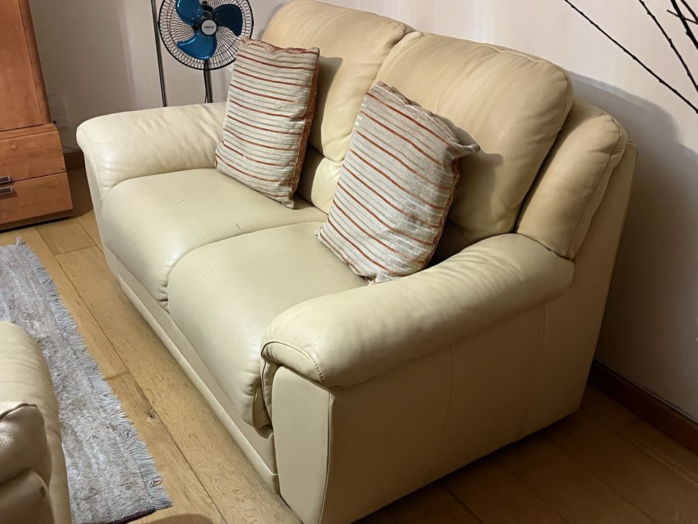 Sofas de cabedal (2 sofas )