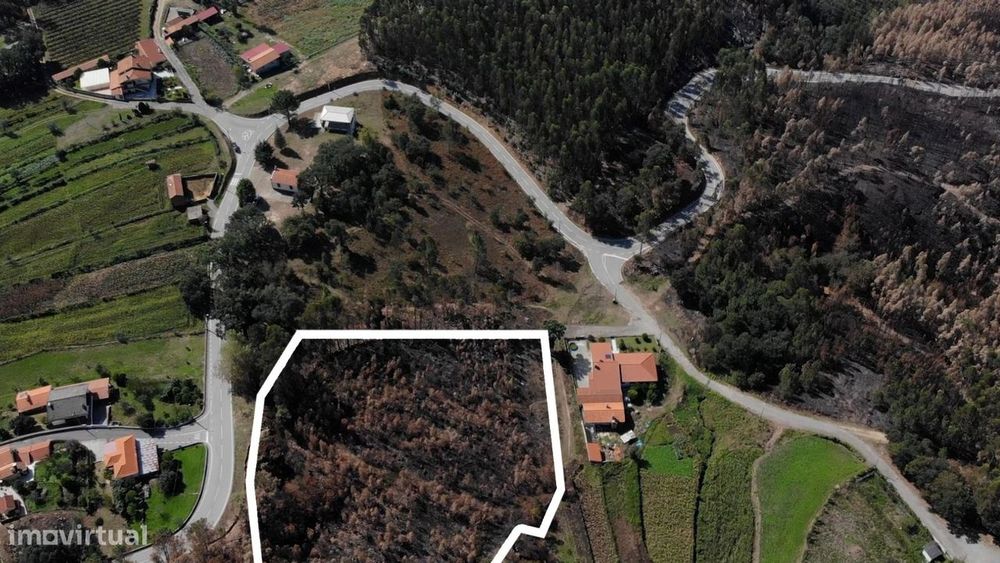 Terreno rústico, para venda, Sever do Vouga - Cedrim e Paradela