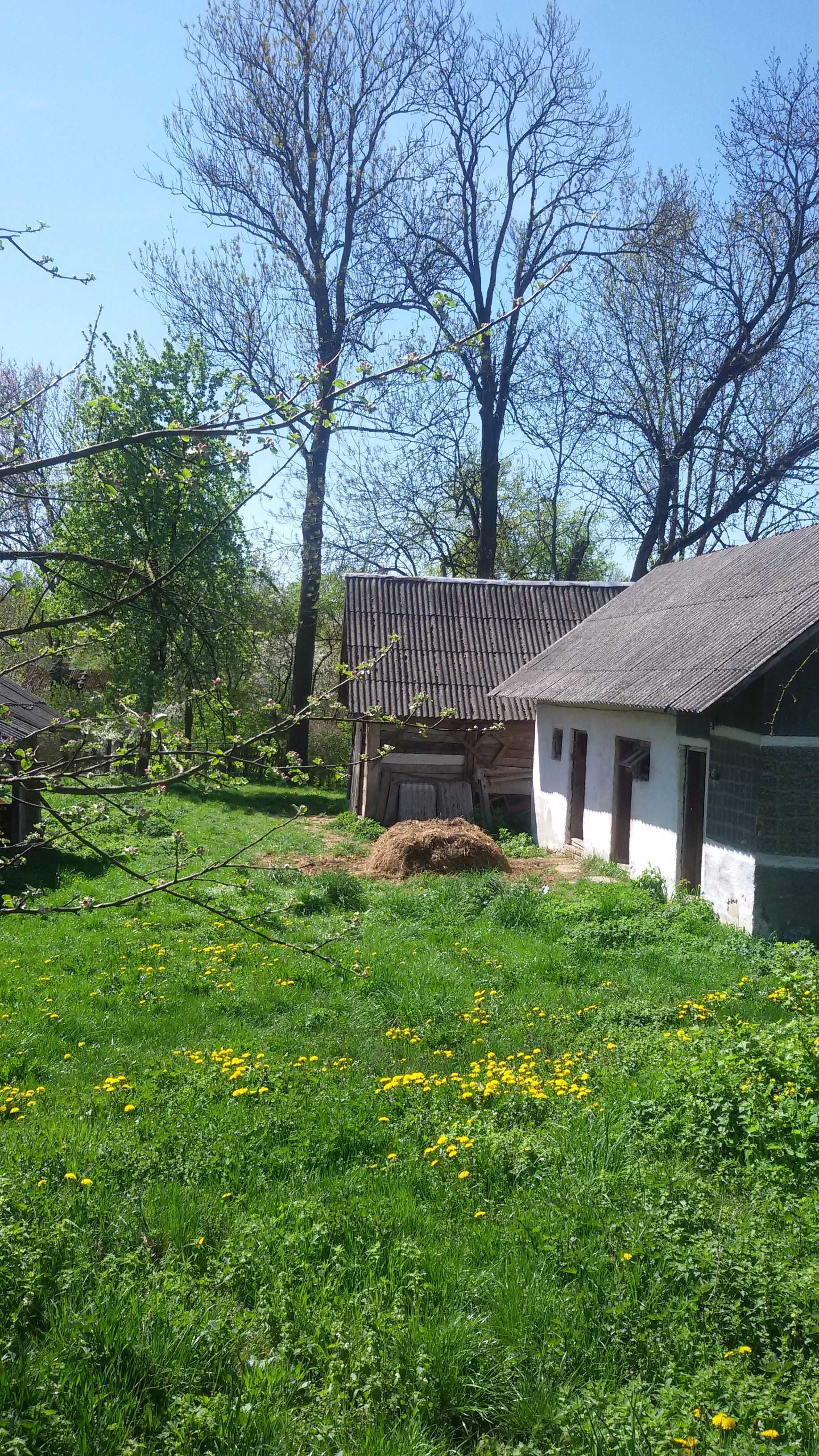 Будинок земельна ділянка, город, сад