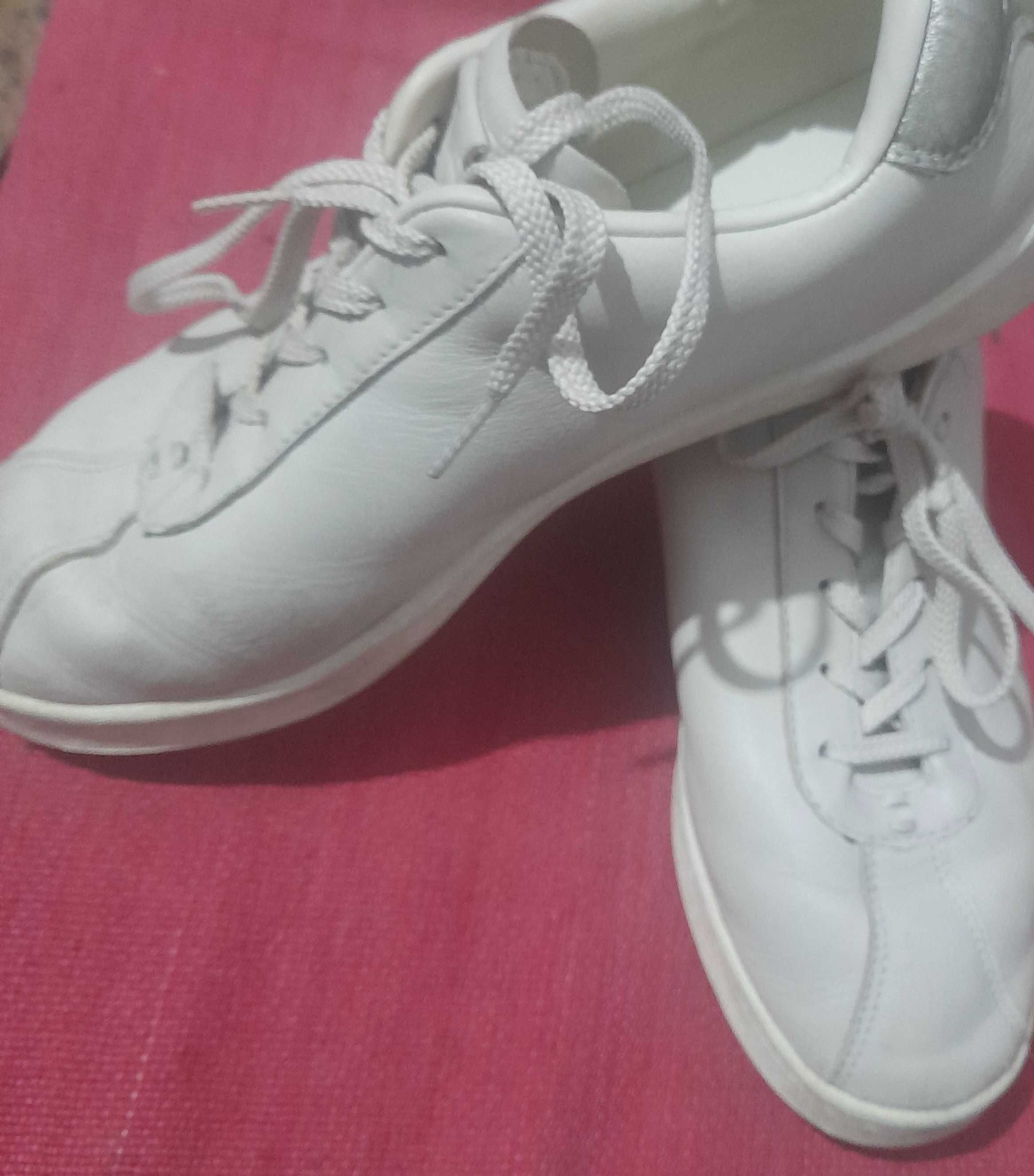 Tenis lacoste 39