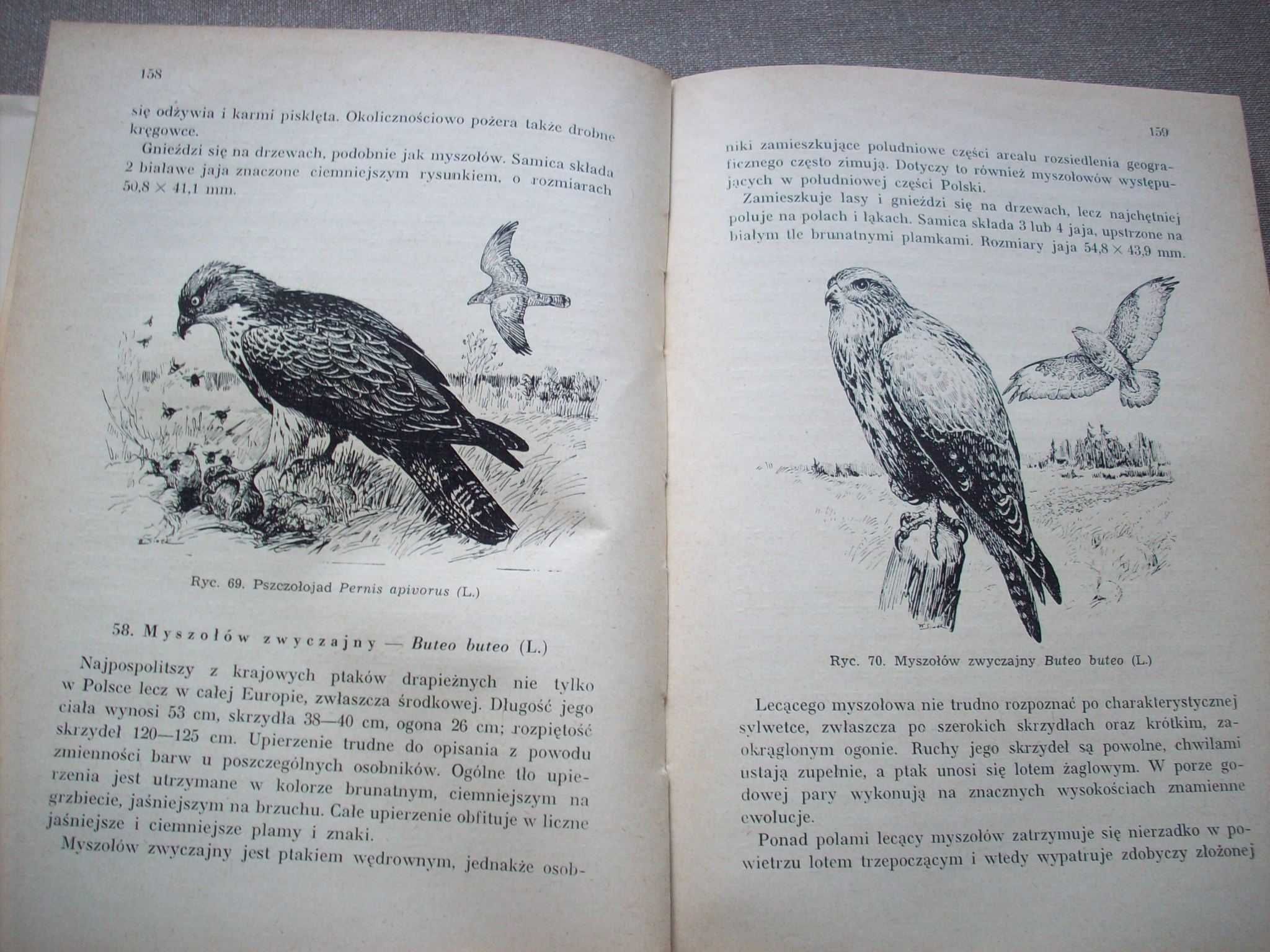 Ochrona gatunkowa zwierząt w Polsce, B. Ferens, 1957.