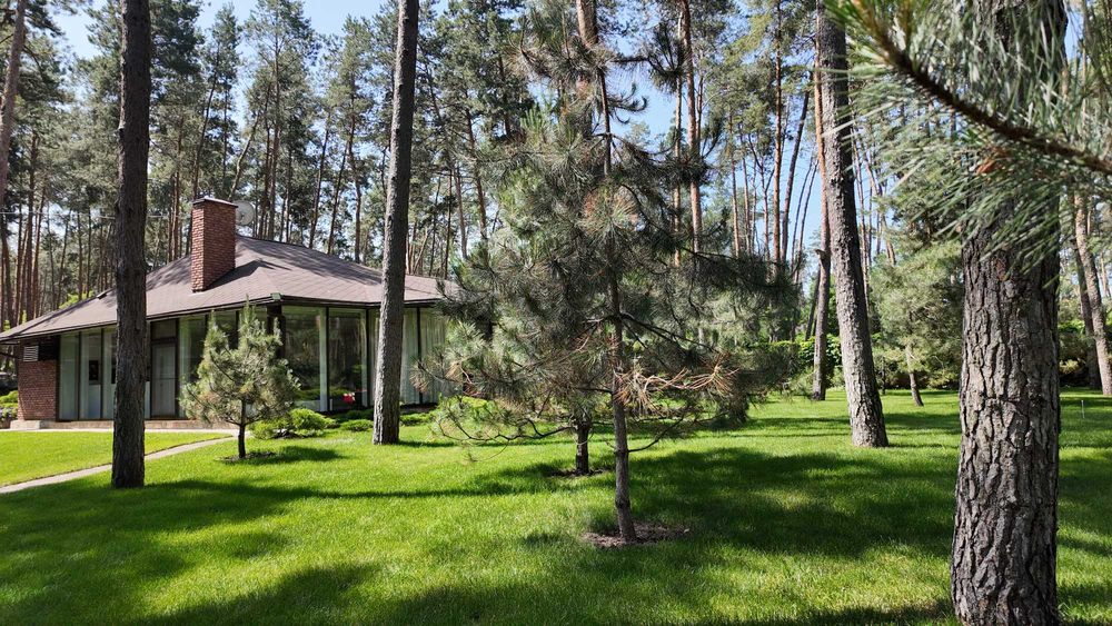 Продаж будинку в лісі, Піщанка, Ліс,Річка,