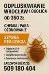 Odpluskwianie Wrocław i okolice – Szybka pomoc! Skutecznie od 350 zł