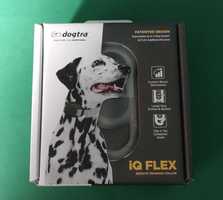 obroża do tresury psa o wadze od 5 kg Dogtra iQ FLEX