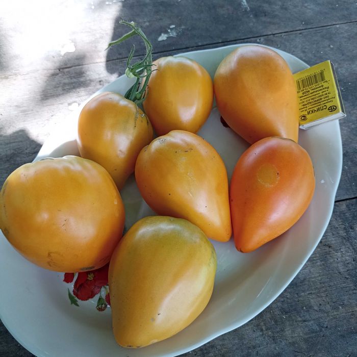 Насіння томату "Золоте серце Ашхабаду","Товстунка","Царь Колокол"