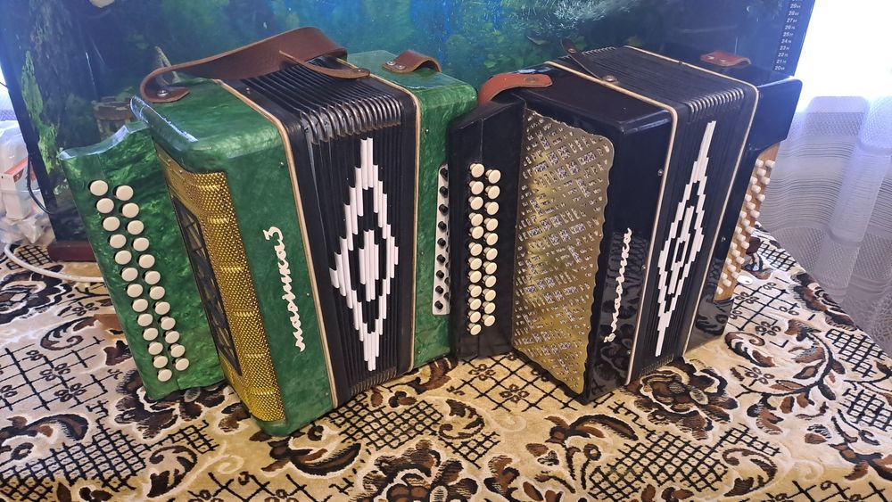 Гармонь кубань. .