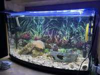 Морской аквариум в сборе Природа 110 литров 100 литров