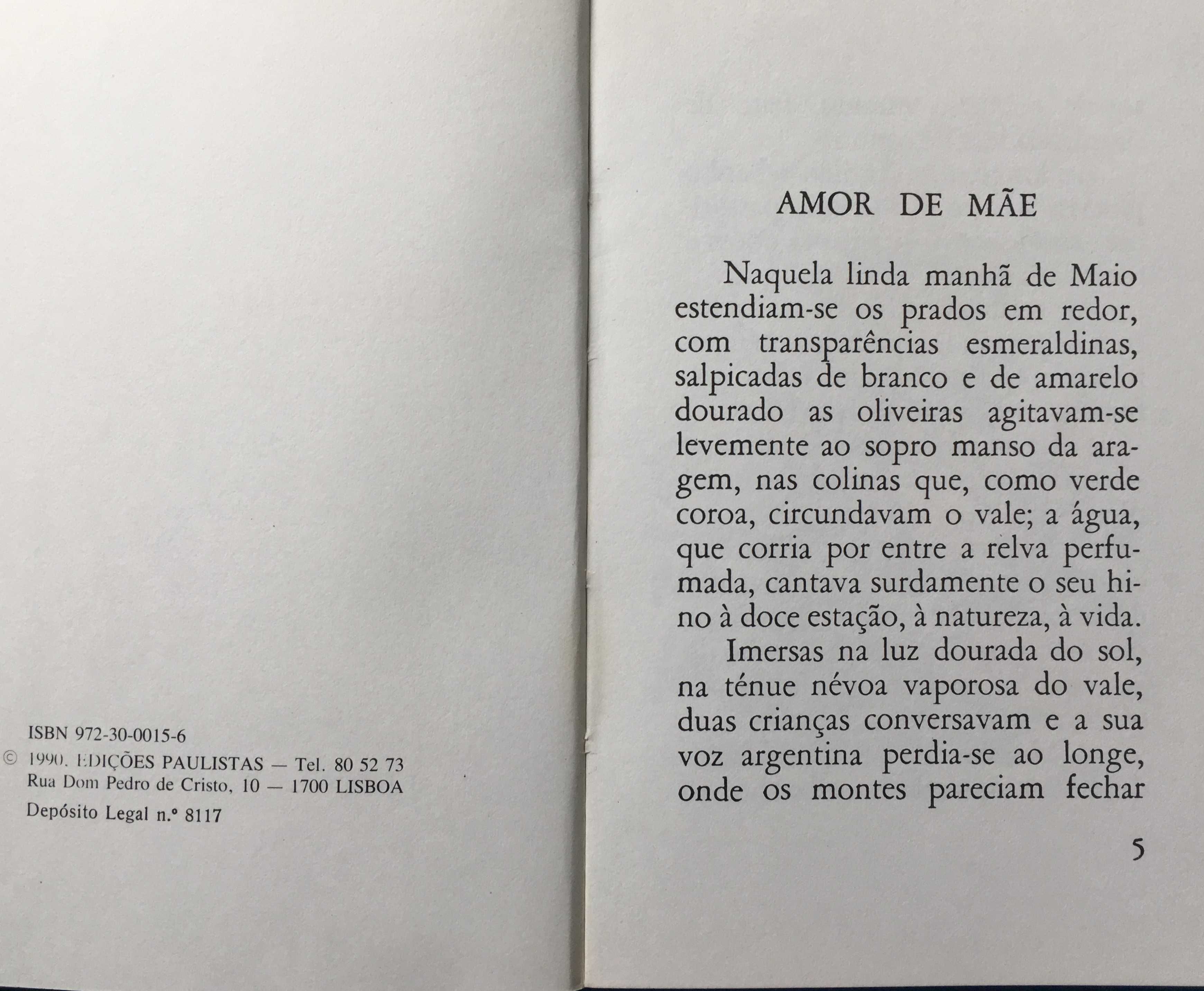 Livro "Amor de mãe" - novo