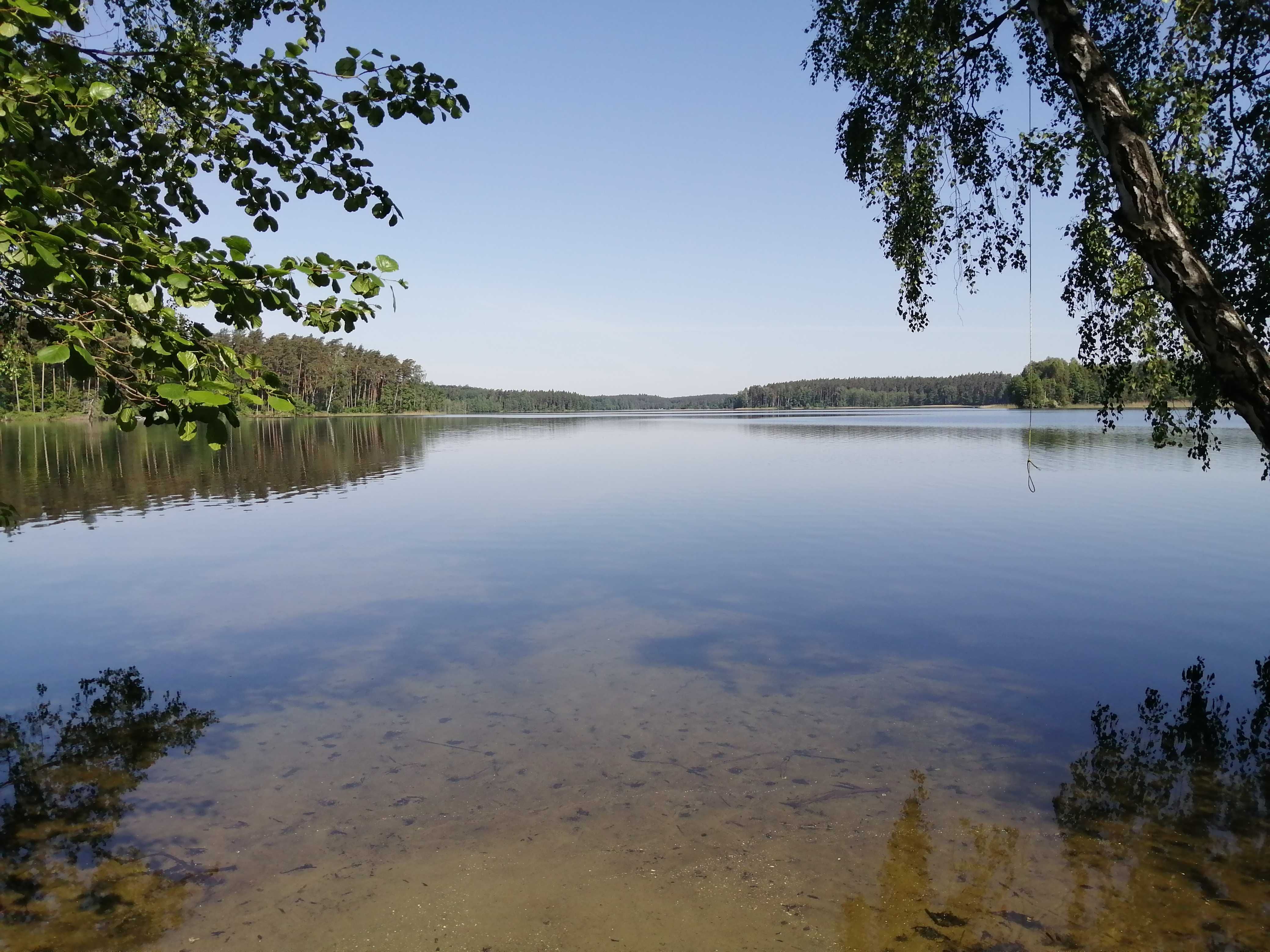 Domek letni. 6-8 osób Jezioro Wielkie Partęczyny-Pojezierze Brodnickie