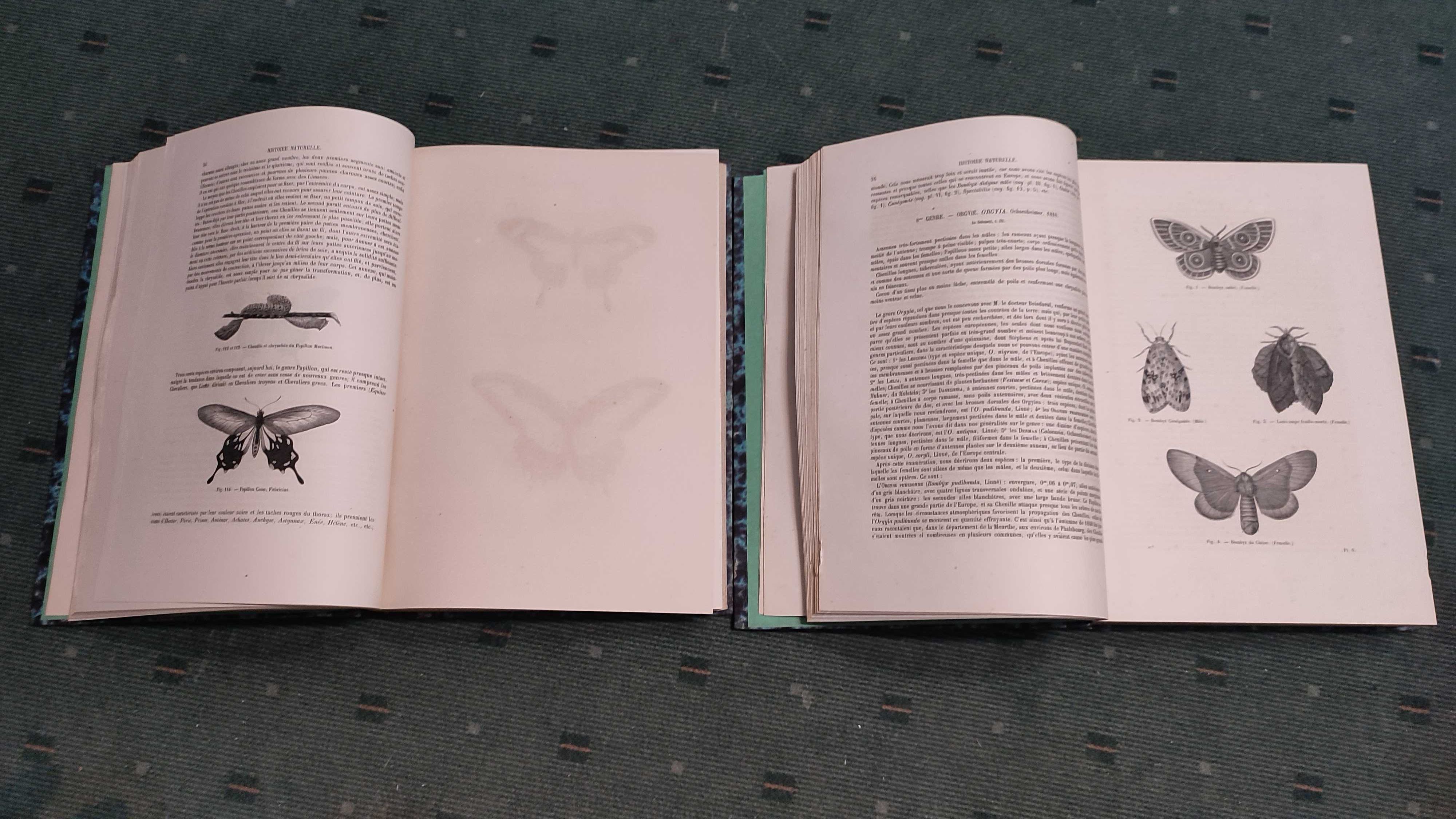 Encyclopédie D'Histoire Naturelle Traité Complet -Papillons - 2 Vol