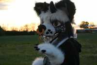 Furry fursuit wilk