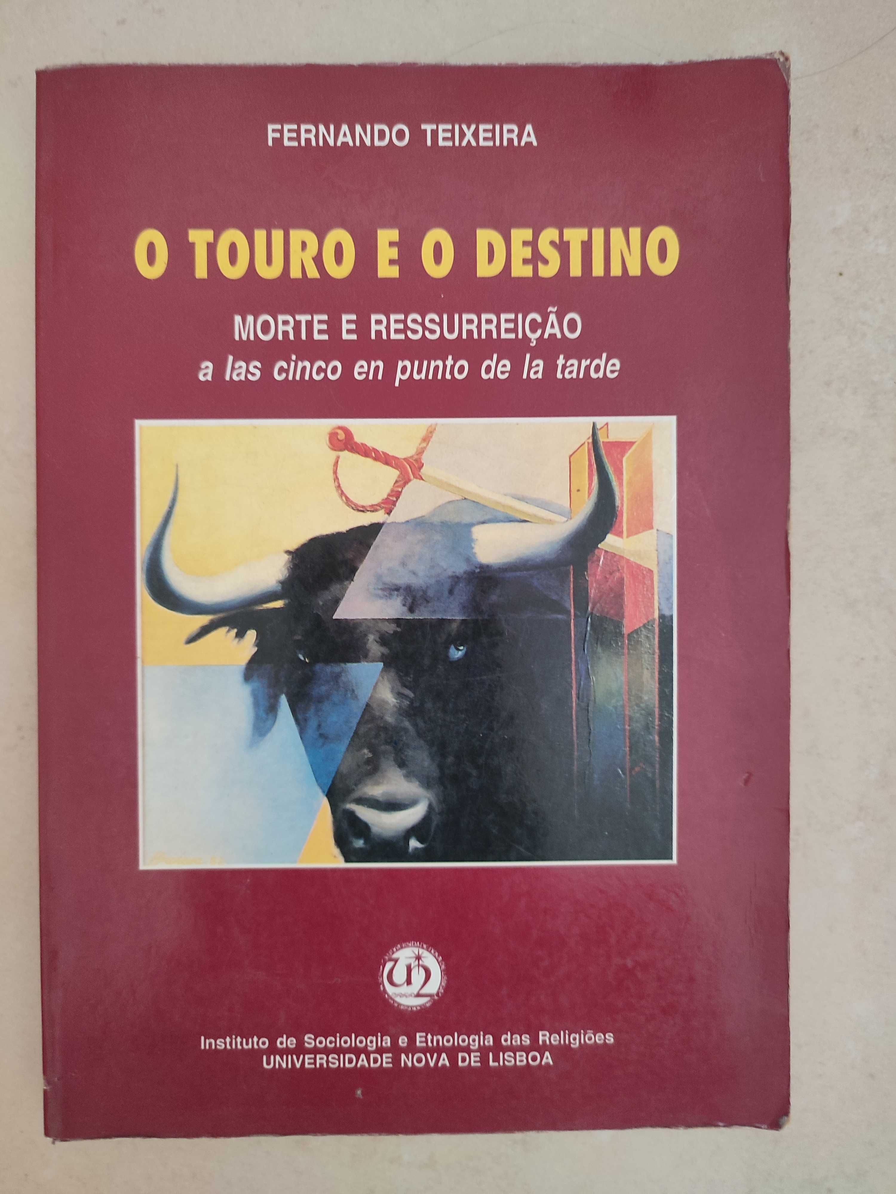 O Touro e o Destino Morte e Ressurreição - Fernando Teixeira