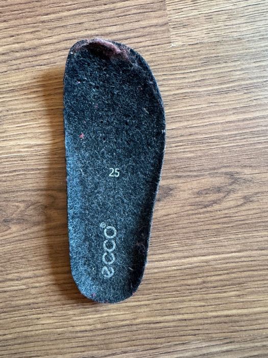 Зимові  чобітки Ecco