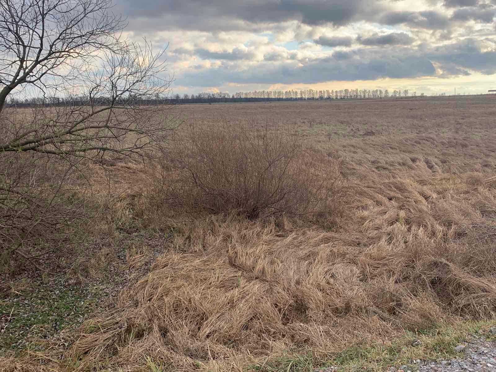 Продаж земельної ділянки с/г призначення у Ксаверівці