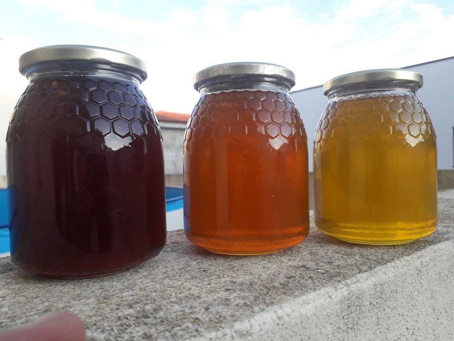 Mel de Trás os Montes