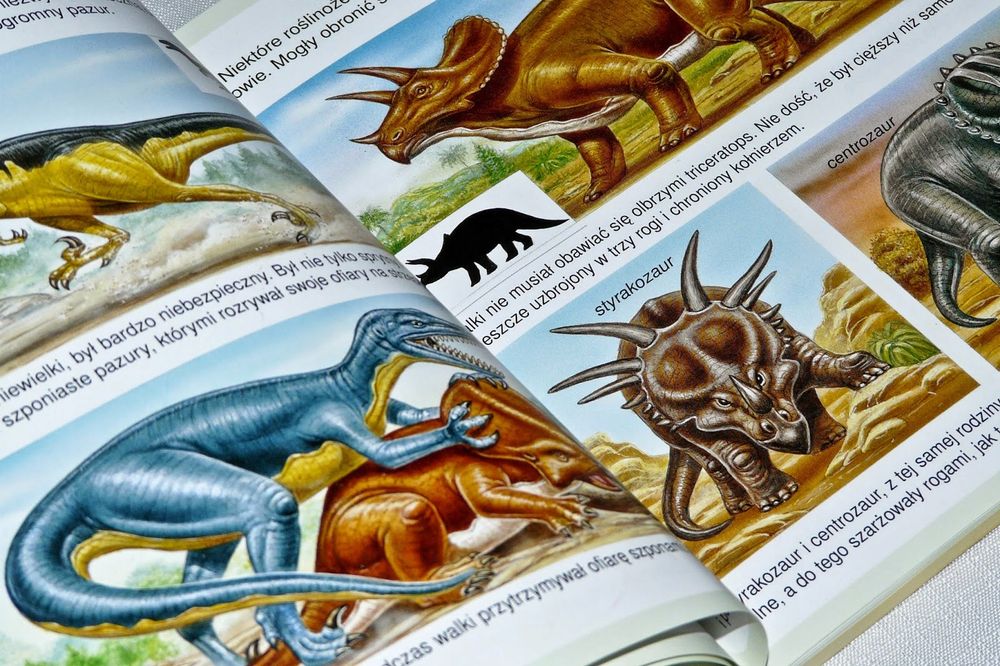 Dinozaury I Prehistoria. Świat W Obrazkach Emilie Beaumont Ks501