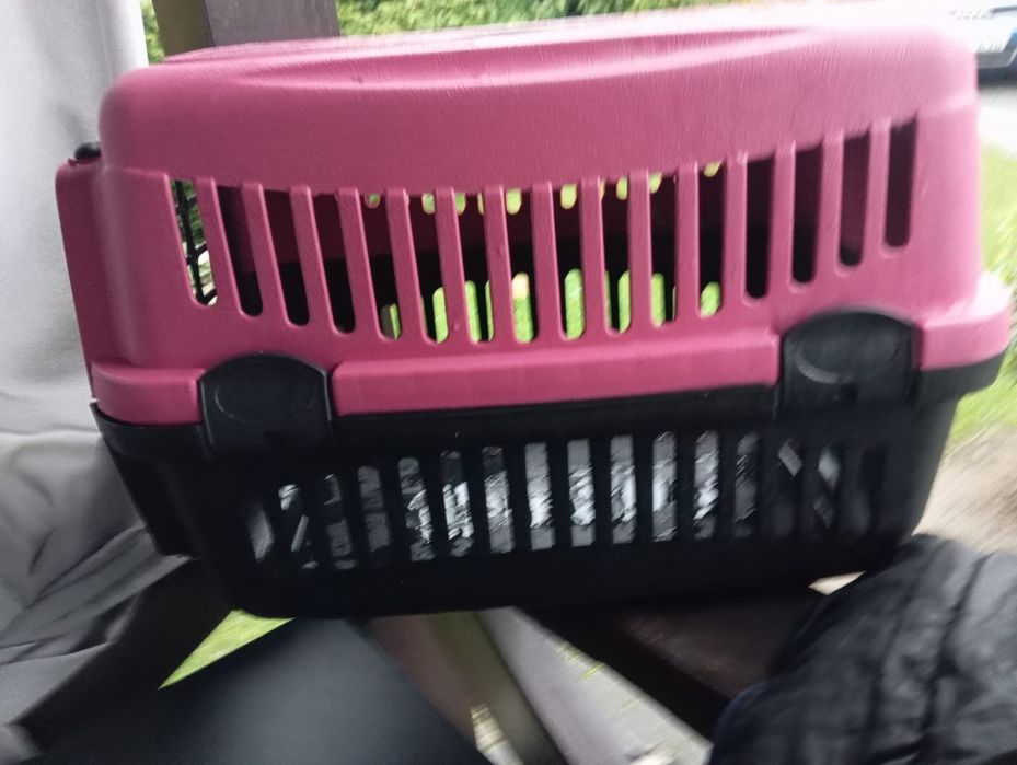Transporter dla zwierząt