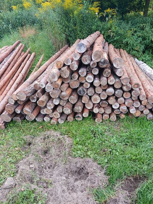 Stemple  budowlane 3m drewno opałowe