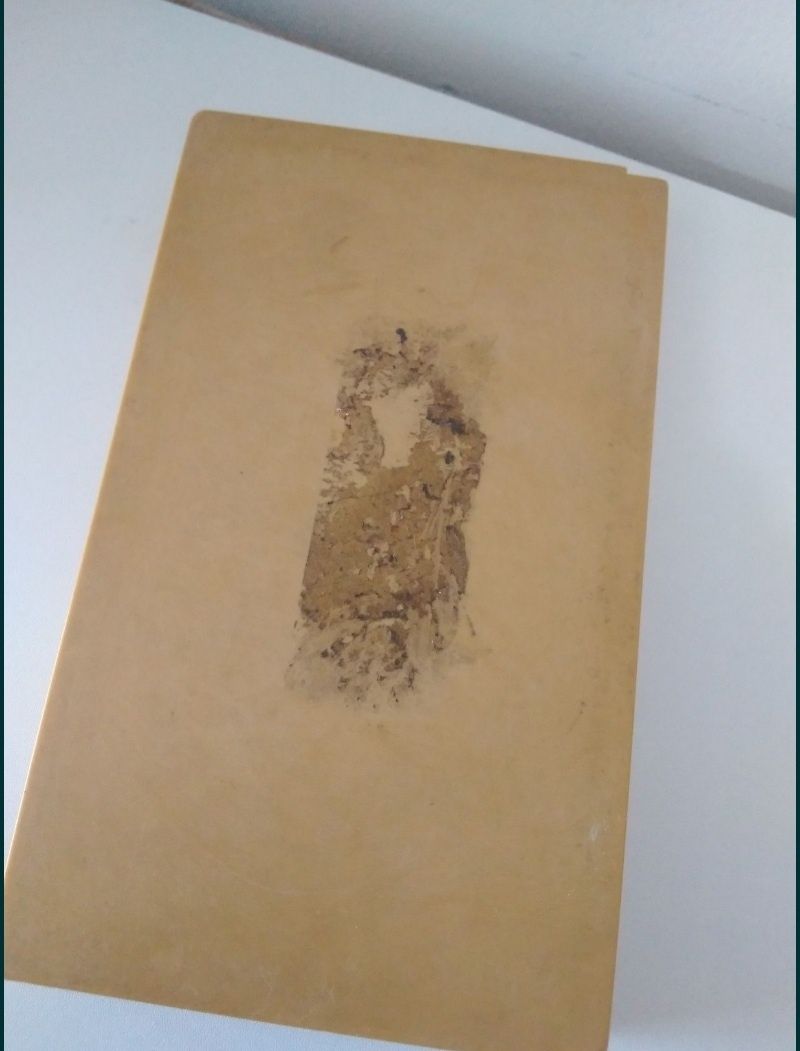 Jogo Dominó Estrela - antigo anos 80, desenho leão