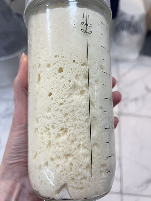 Рабочая, активная закваска для хлеба