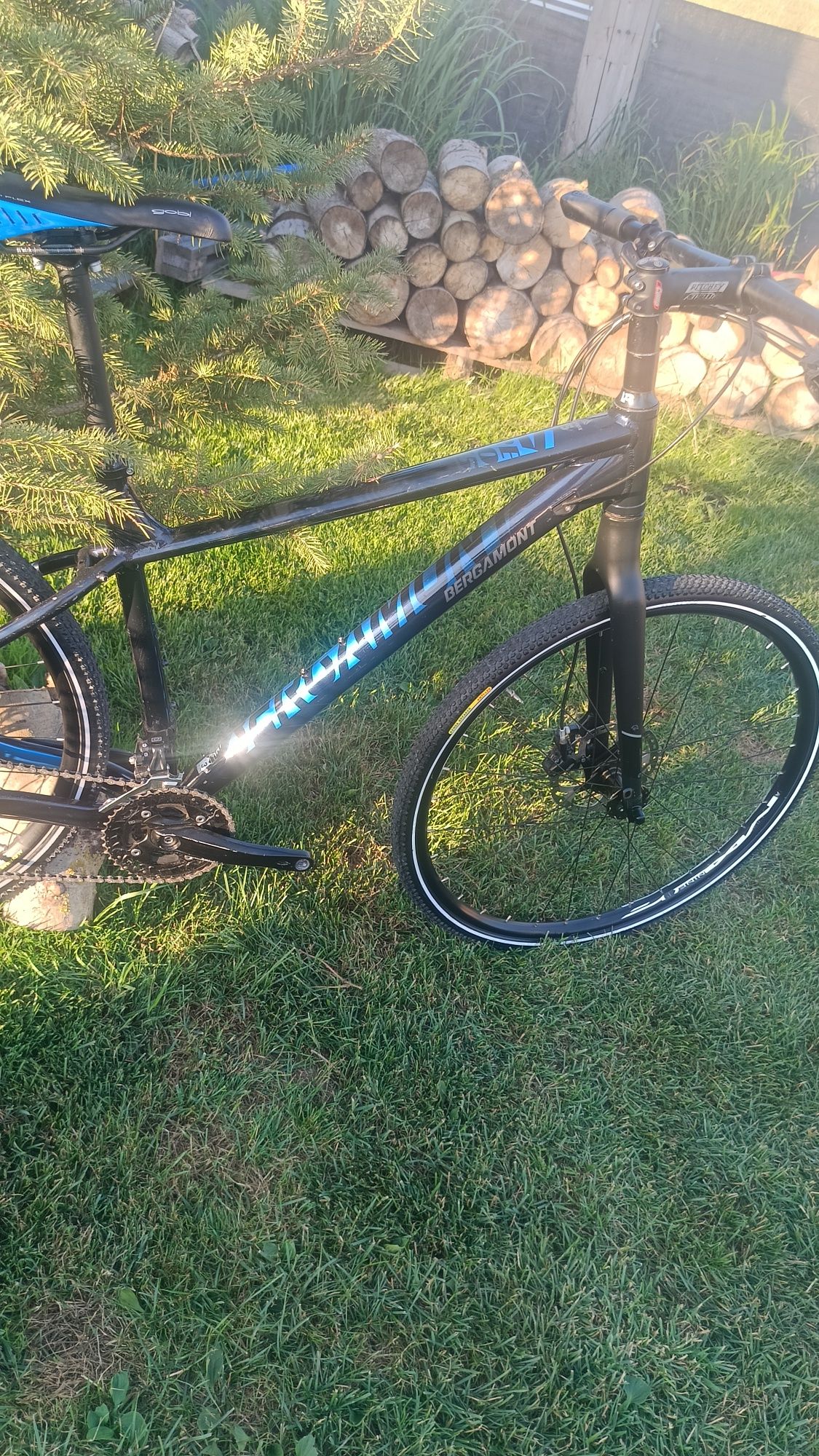 Śliczny,lekki bergamont revox 5.