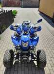 Quad Bashan BS250S-11B